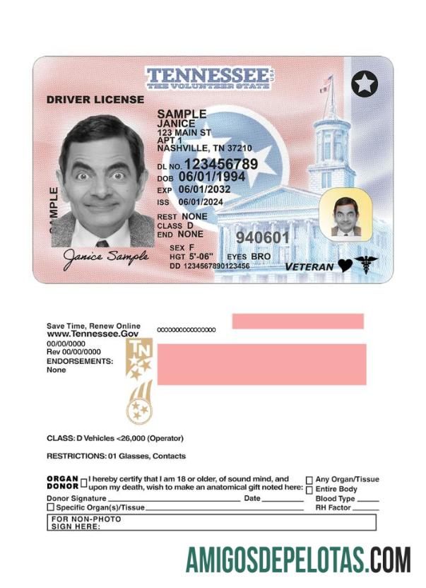 Carta de condução do Tennessee nos EUA 2024 presente modelo